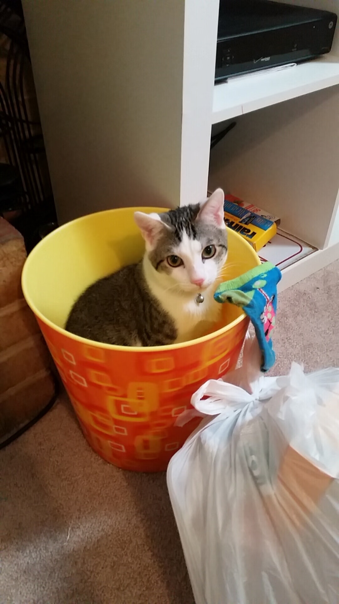 体育用品智能追溯系统建设与监管机制研究，体育用品管理系统