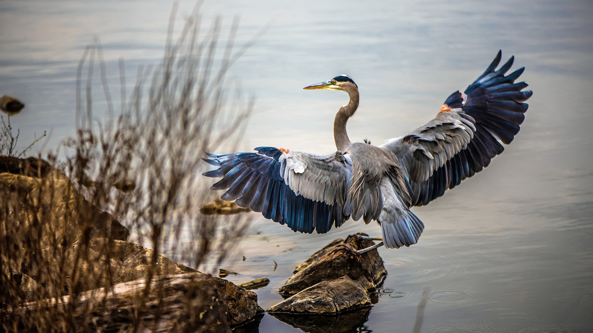 全景直播:多角度助力球迷全方位体验,全景体育直播