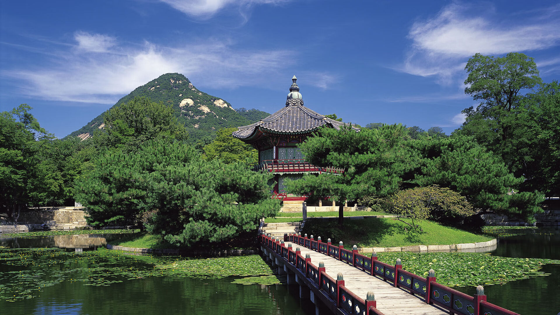 国足技战术细节落实能力评分，国足的战术