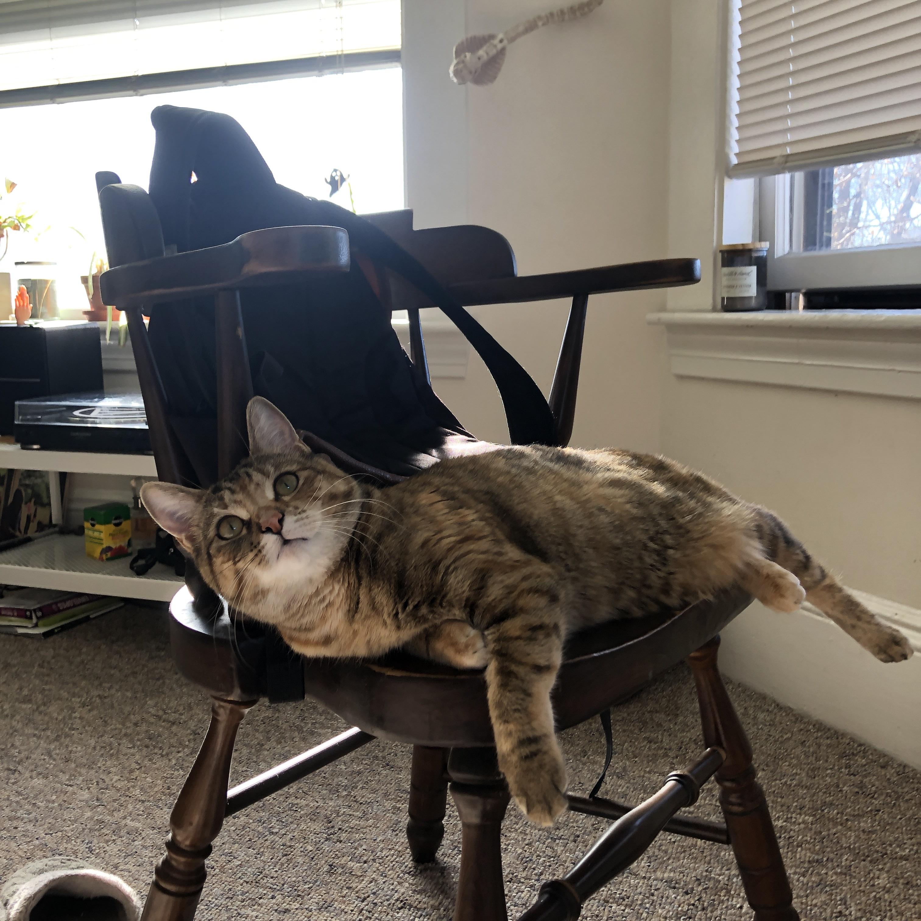 国足技战术细节落实能力评分，国足的战术